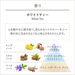 シャワーオイル ホワイトティー・セレブレーション