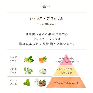 ボディローション(ボトル) シトラス・ブロッサム
