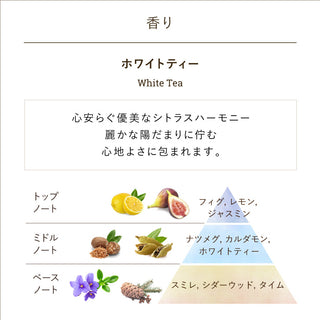 シルキーボディミルク ホワイトティー