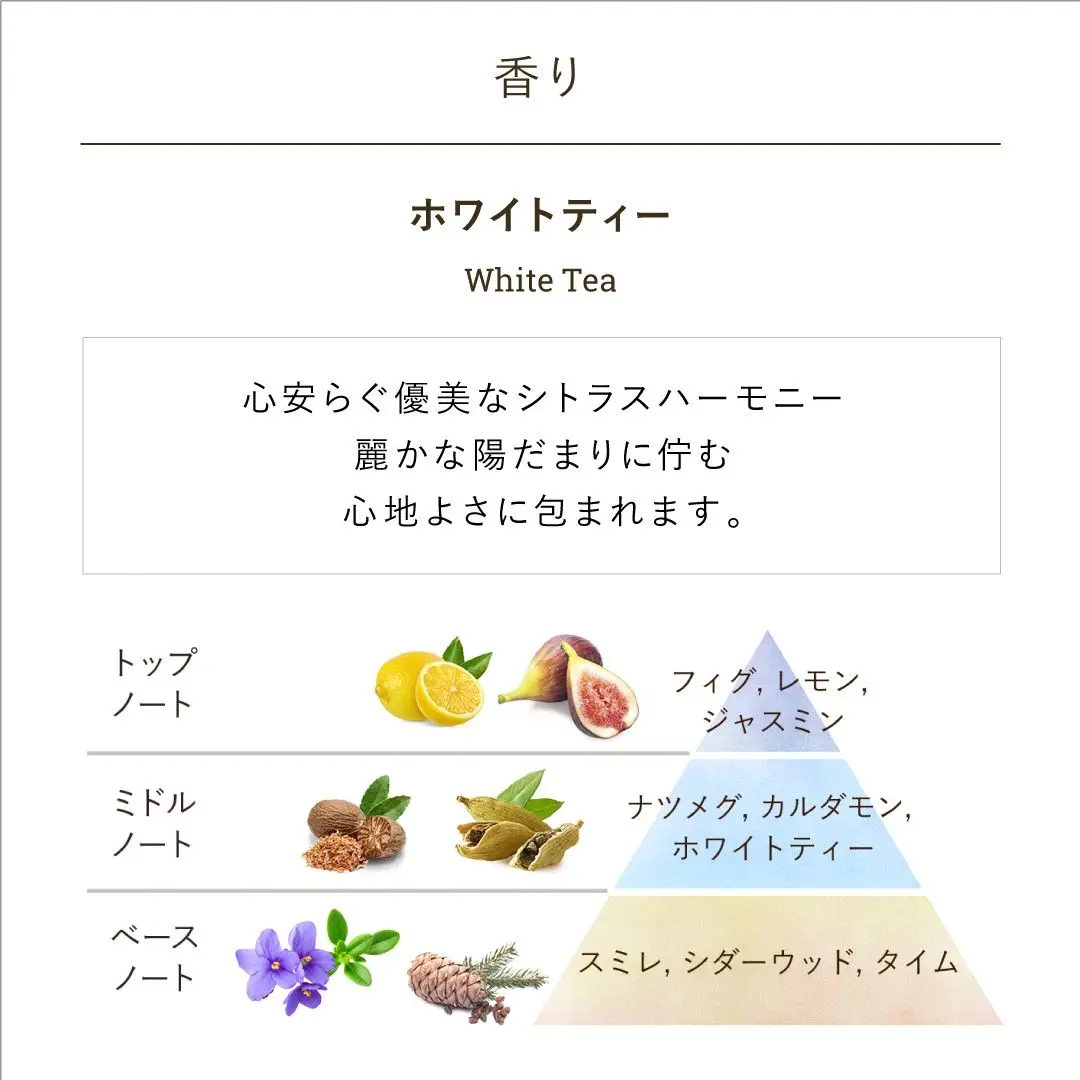3STEP ボディケアキット ホワイトティー – SABON(サボン)公式サイト 3STEP ボディケアキット ホワイトティー – SABON(サボン)公式サイト