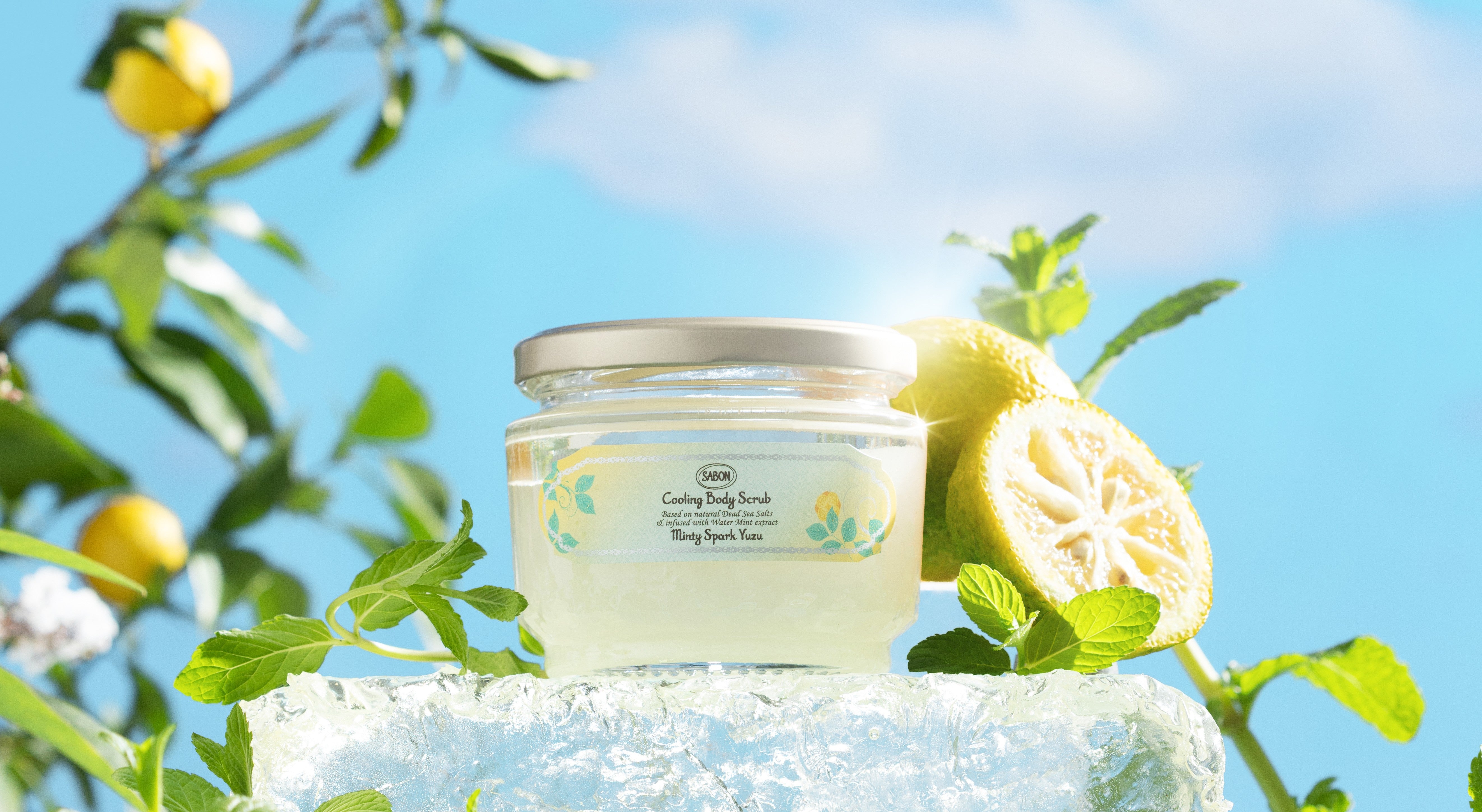 リフレッシュ ボディ＆フェイスケアキット – SABON（サボン）公式サイト