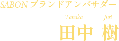 Ambassador