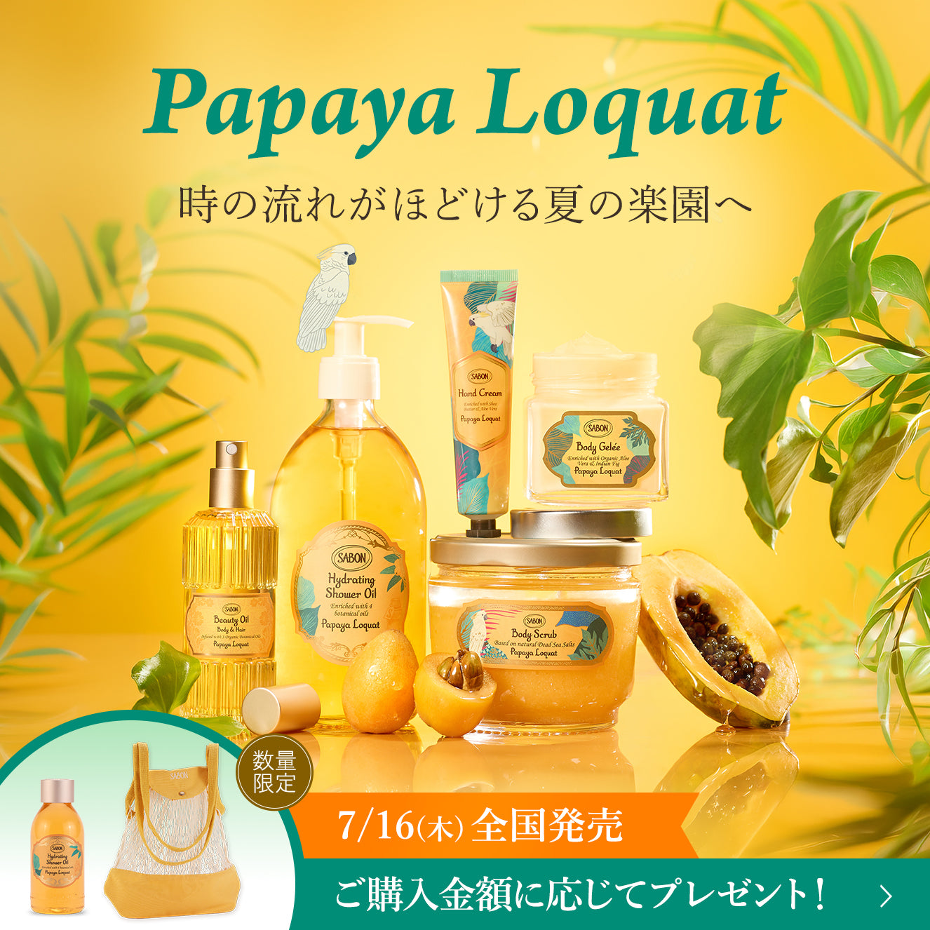 サボン様 SABON（サボン）公式通販｜ボディケア・ヘッドスクラブ・ギフト