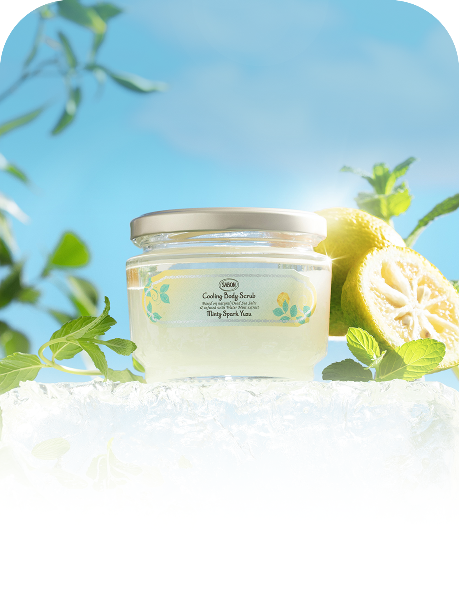 ミンティスパーク・ユズ コレクション – SABON(サボン)公式サイト ミンティスパーク・ユズ コレクション – SABON(サボン)公式サイト