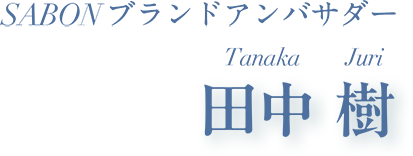 Ambassador